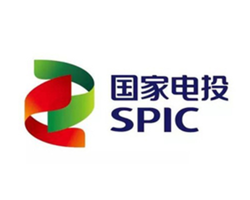 國(guó)家電投.jpg